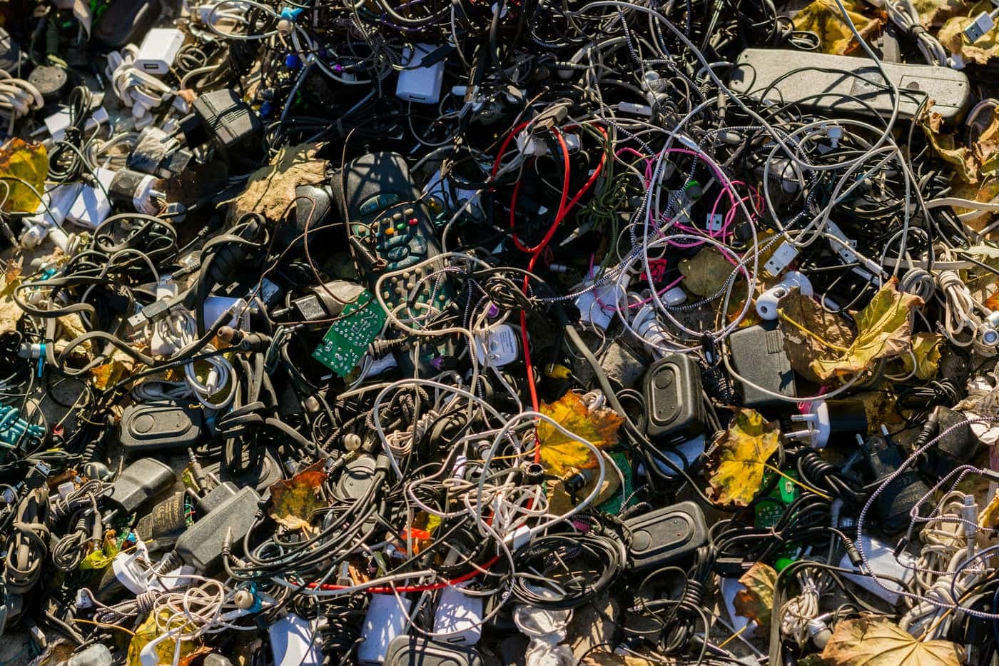 A heap of discarded phone chargers, cables, earphones and a circuit board among fallen autumn leaves