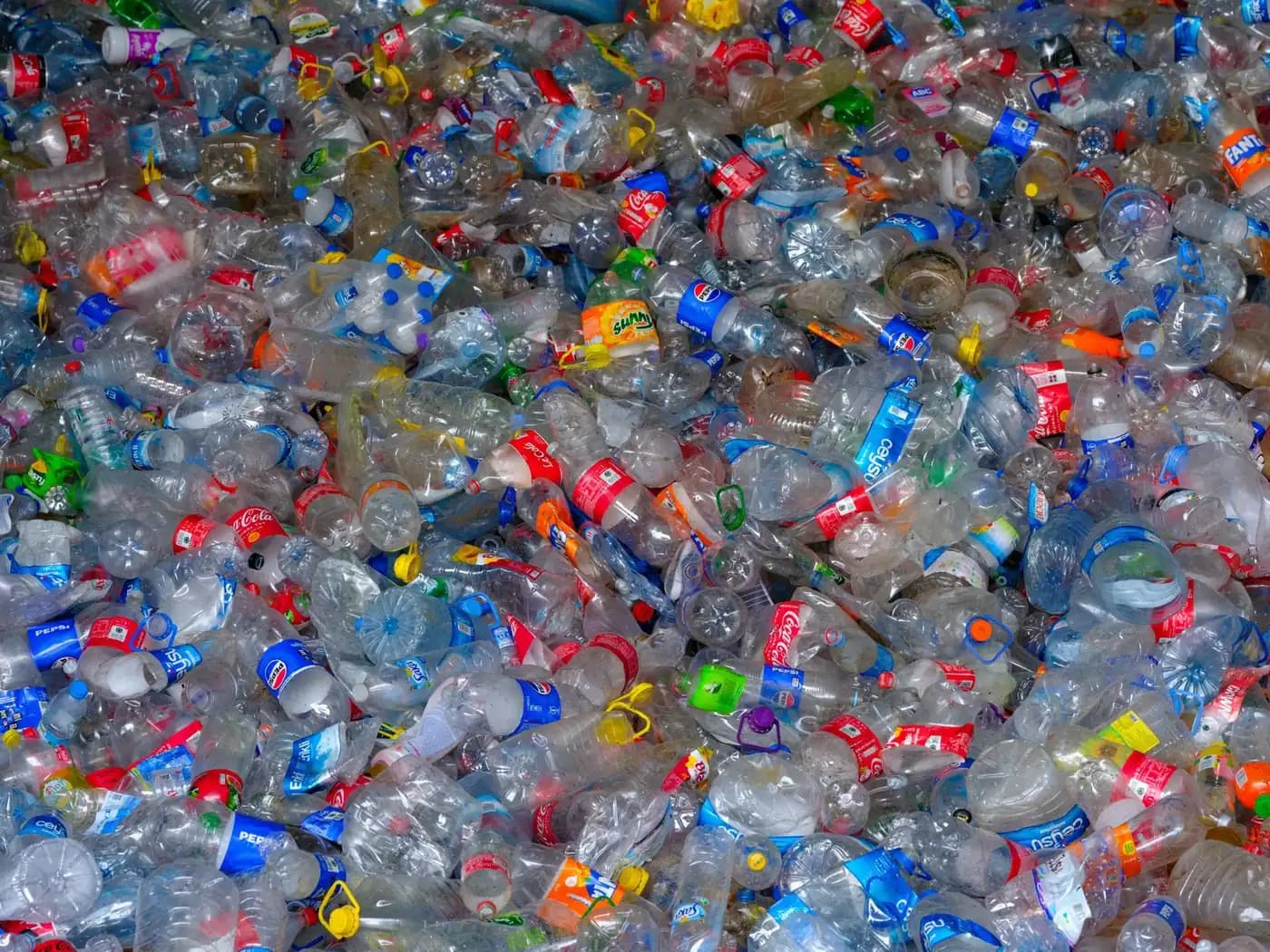 A large heap of used PET bottles collected for recycling